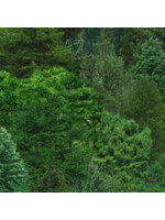 Elizabeth's Studio Landscape Medley - Evergreens Green - Coupon - 80 cm x 110 cm