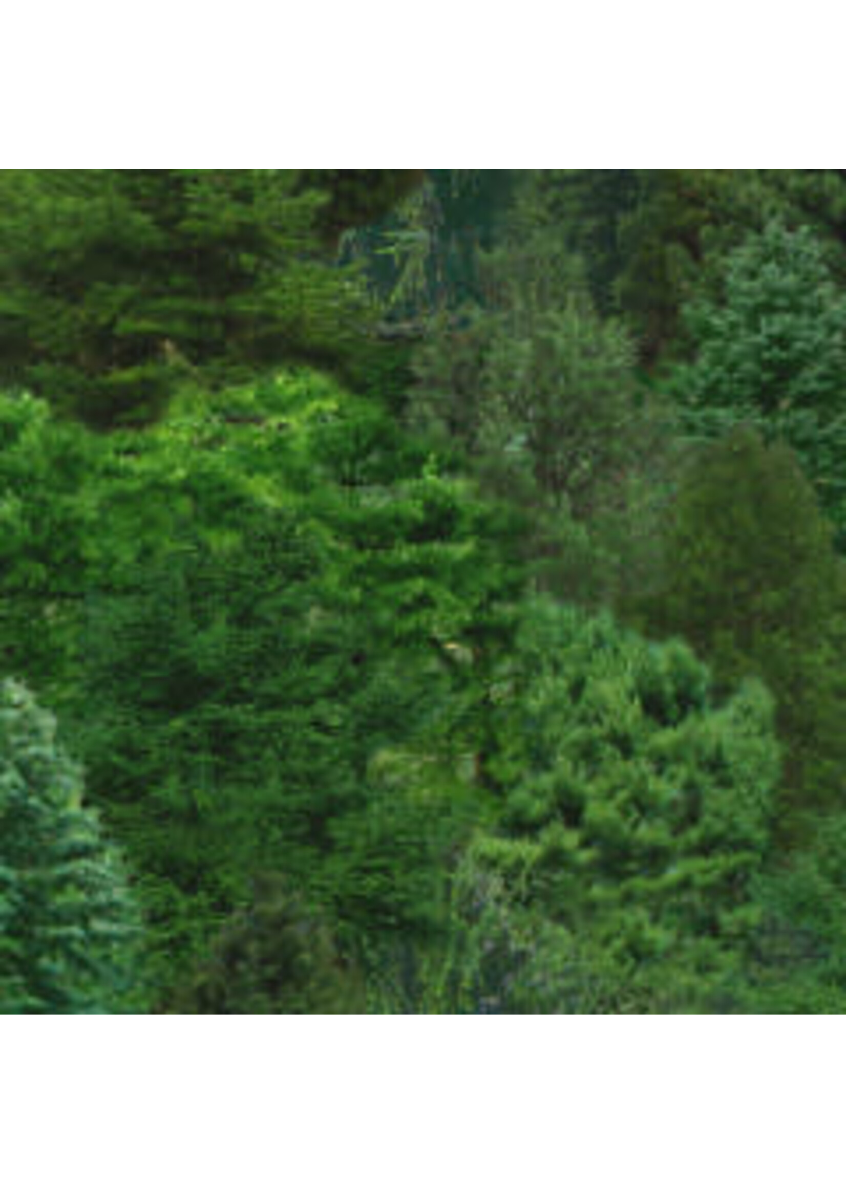 Elizabeth's Studio Landscape Medley - Evergreens Green - Coupon - 80 cm x 110 cm