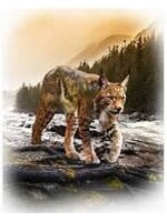Hoffman Fabrics Panel 86 - Call of the Wild - Bobcat - 73 cm  x 55 cm