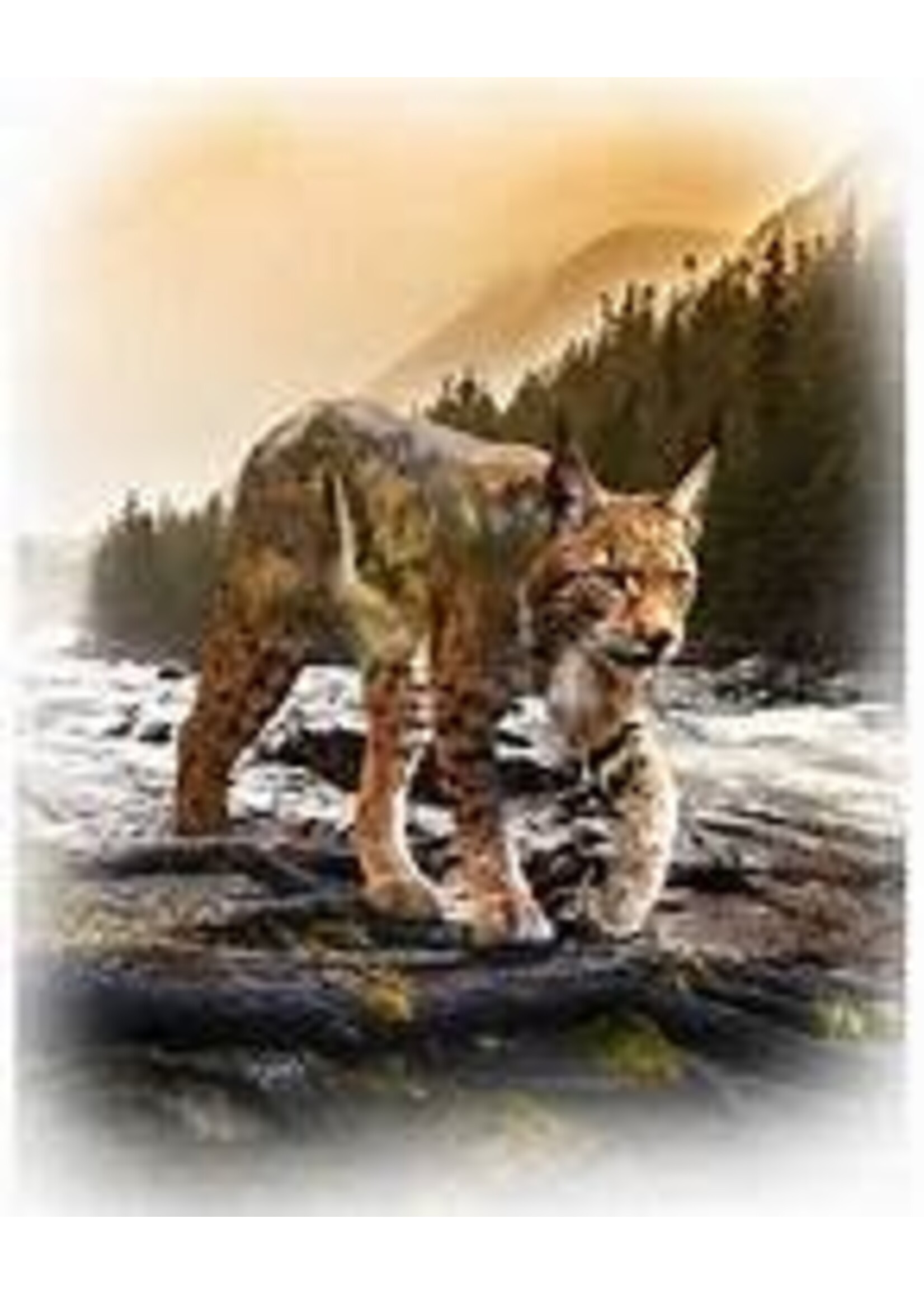 Hoffman Fabrics Panel 86 - Call of the Wild - Bobcat - 73 cm  x 55 cm