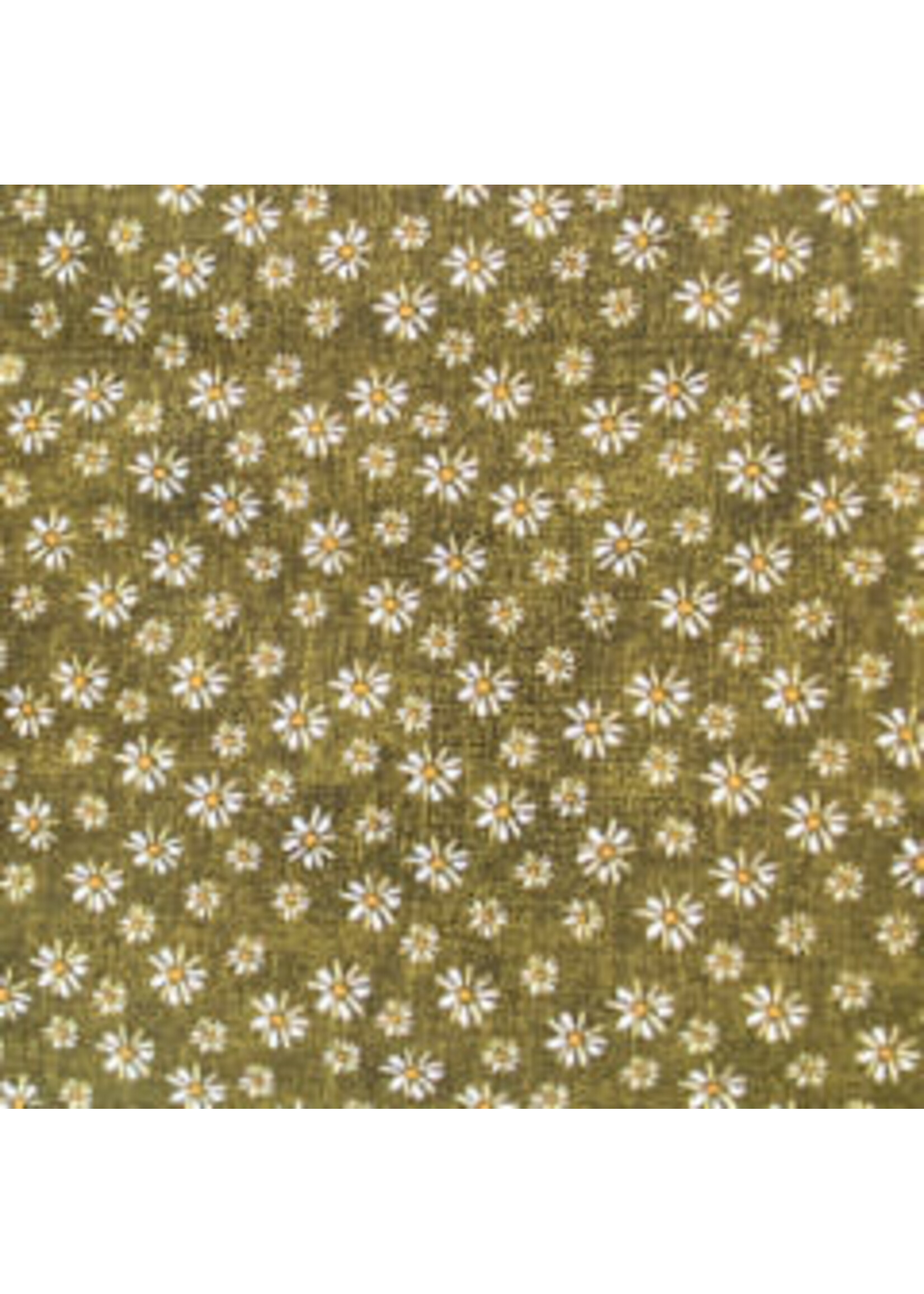 Stof Fabrics Quilting Rainbow - Daisy - Green - Coupon - 60 cm x 110 cm