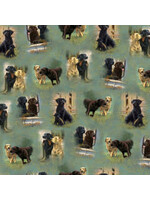 QT Fabrics For The Love Of Labs - Sage Vignettes - Coupon - 100 cm x 110 cm