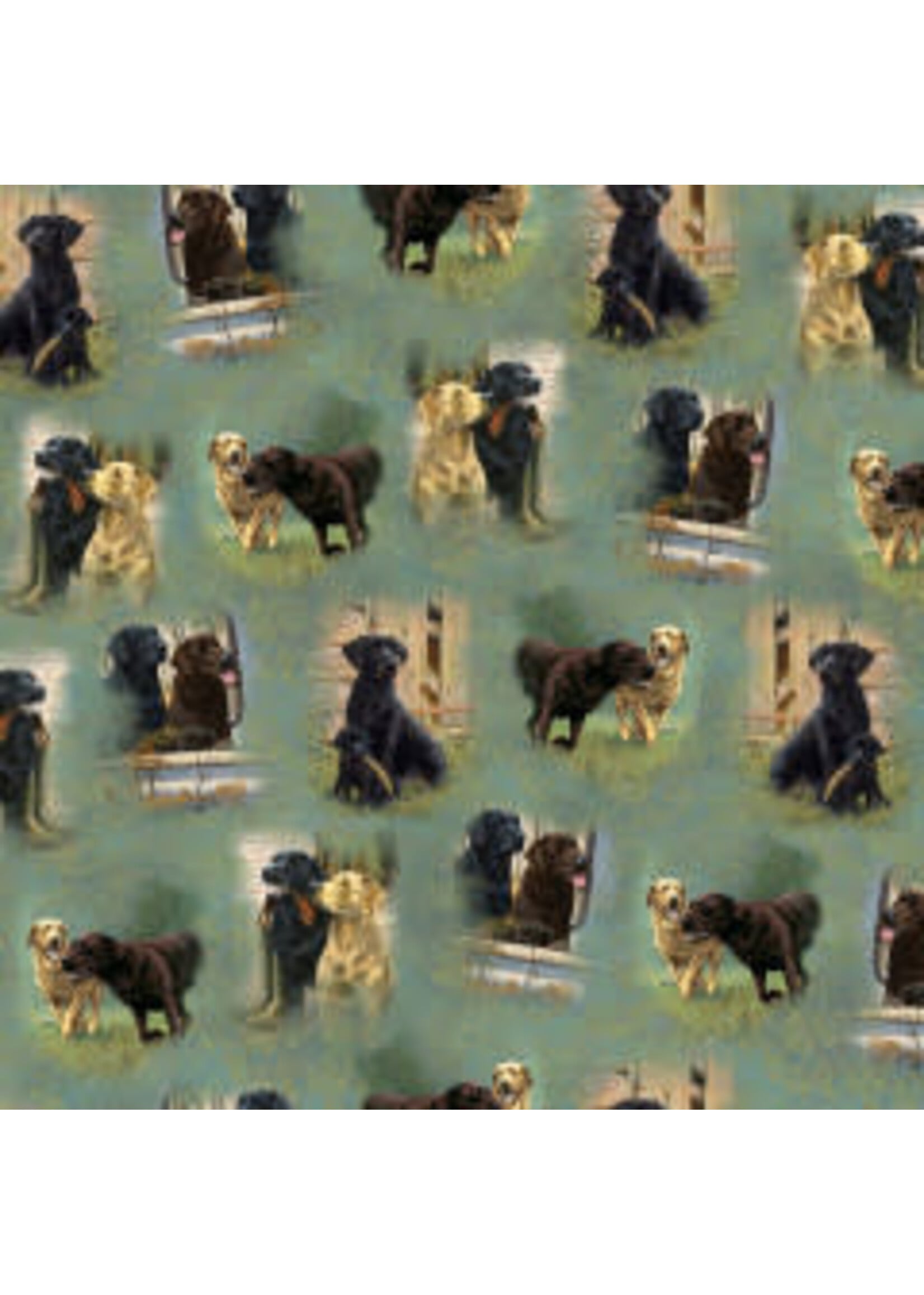 QT Fabrics For The Love Of Labs - Sage Vignettes - Coupon - 100 cm x 110 cm