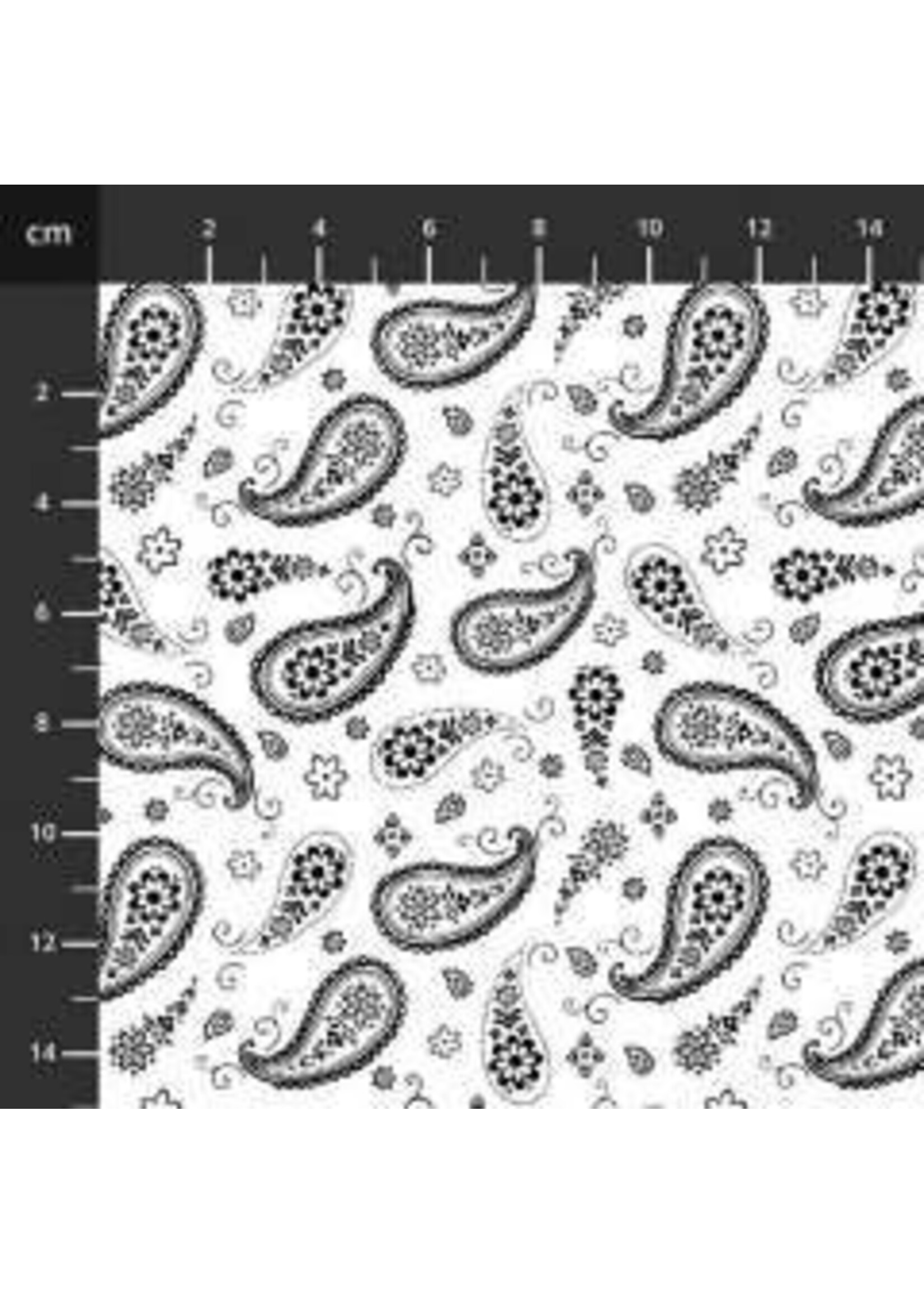 Stof Fabrics Paradox - Paisley - Wit-Zwart - 4802-427 - Coupon - 100 cm x 110 cm