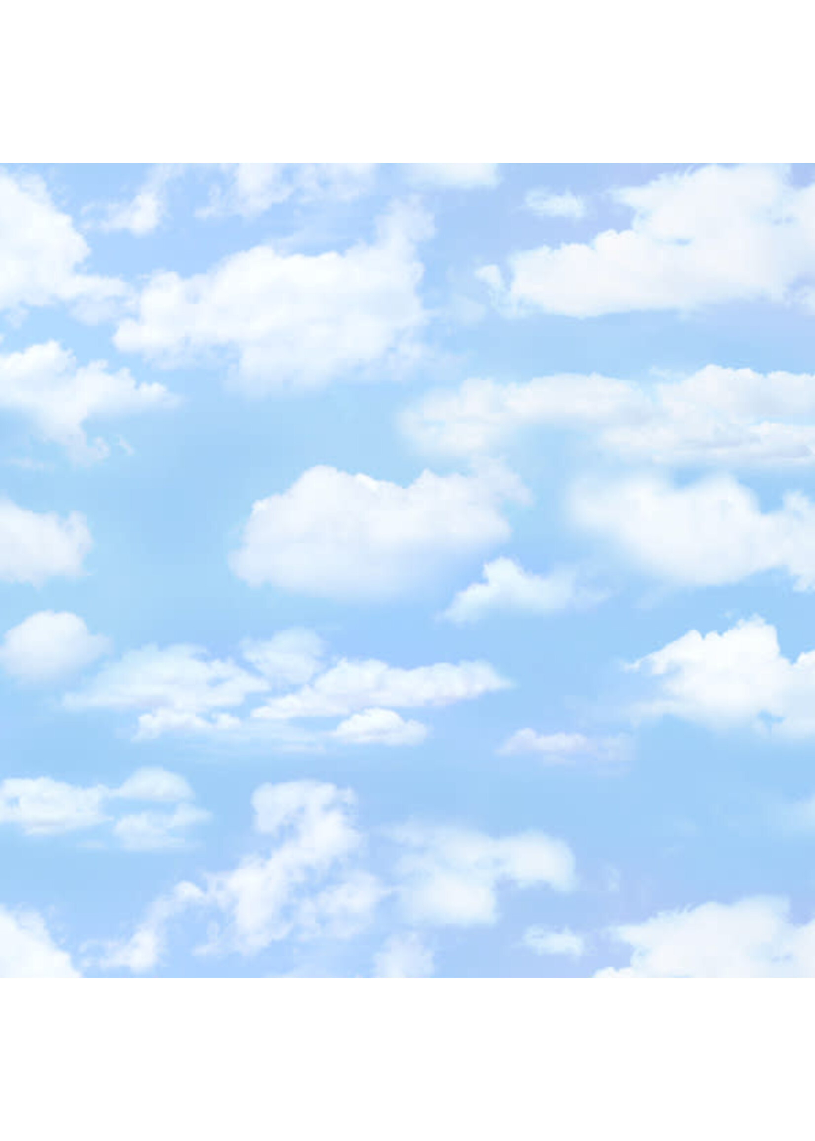 Elizabeth's Studio Landscape Medley - Cloudy Sky - Coupon - 100 cm x 110 cm