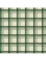 Laundry Basket Quilts Edyta Sitar - Joy - Rustic - Spruce - 1058G - Coupon - 85 cm x 110 cm