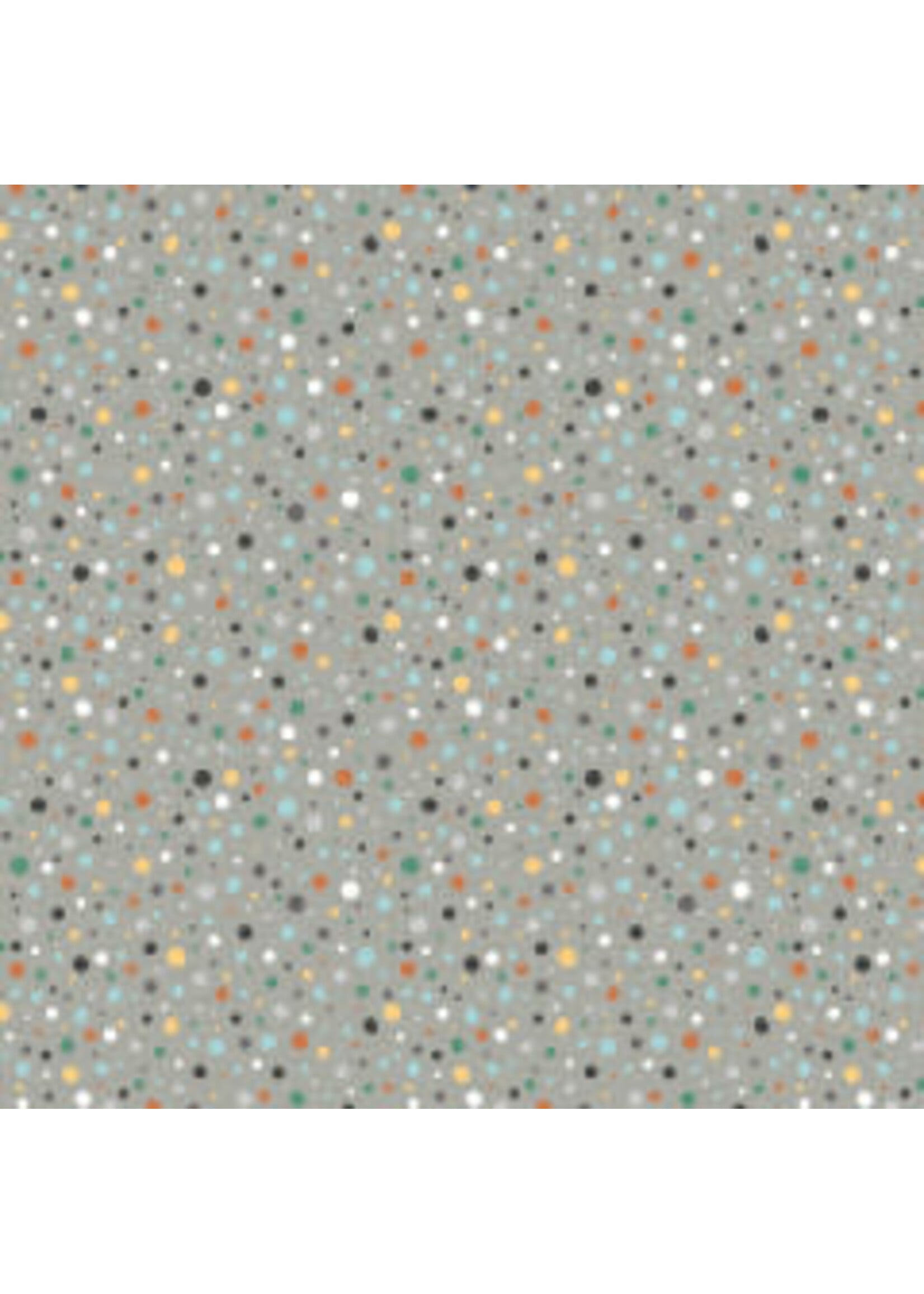 Windham Fabrics Frolic - Playful Dots - Grey - Coupon - 90 cm x 110 cm