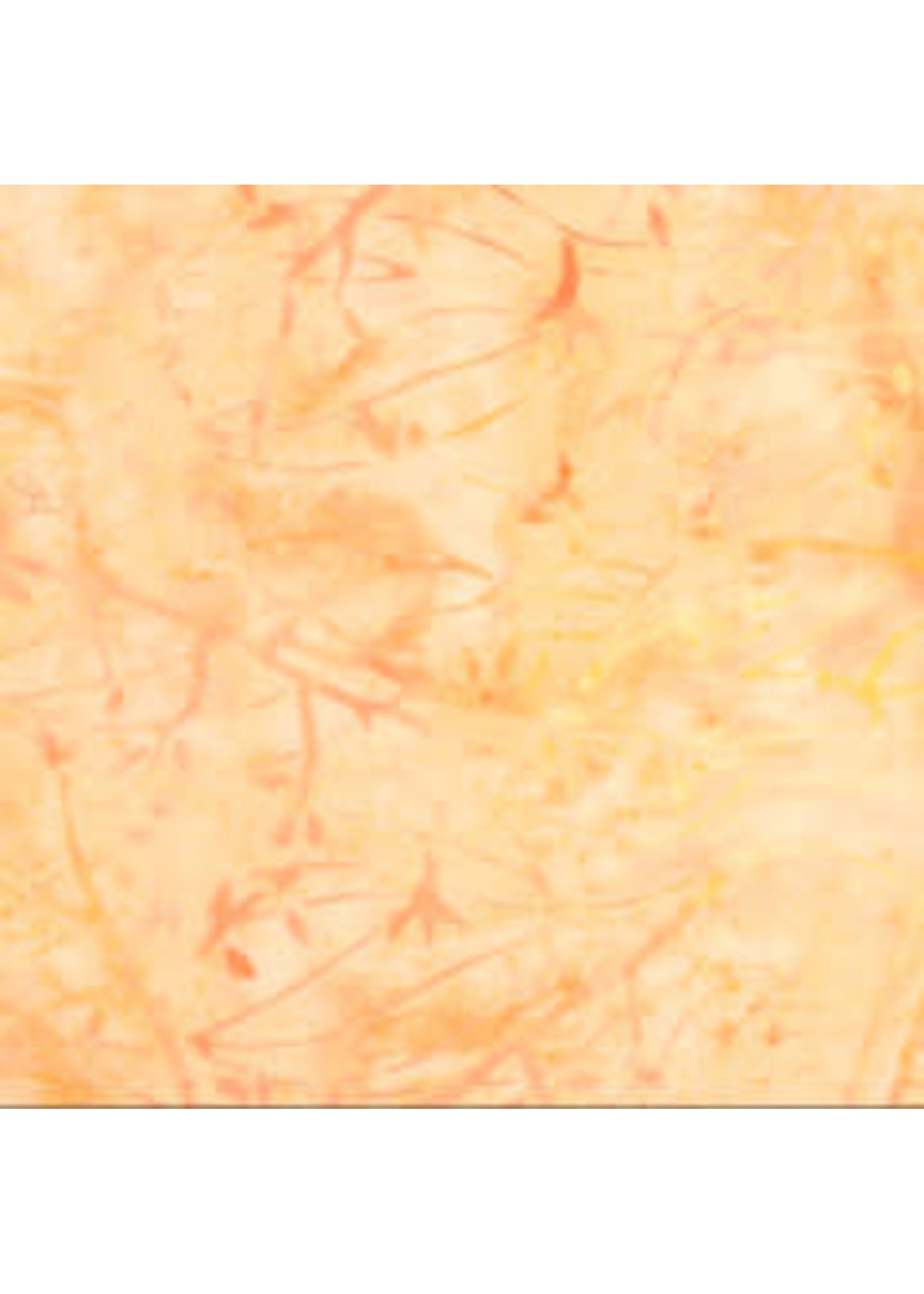 Timeless Treasures Tonga - Branches - Apricot - Coupon - 100 cm x 110 cm
