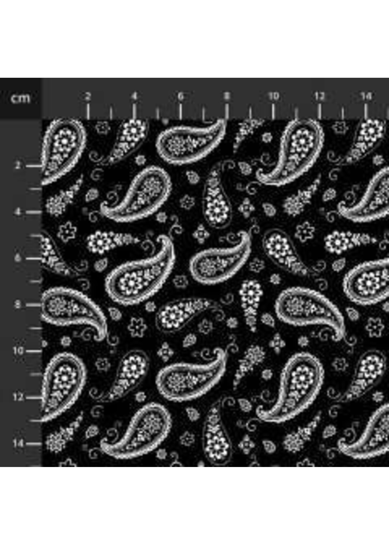 Stof Fabrics Paradox - Paisley - Zwart-Wit - Coupon - 100 cm x 110 cm