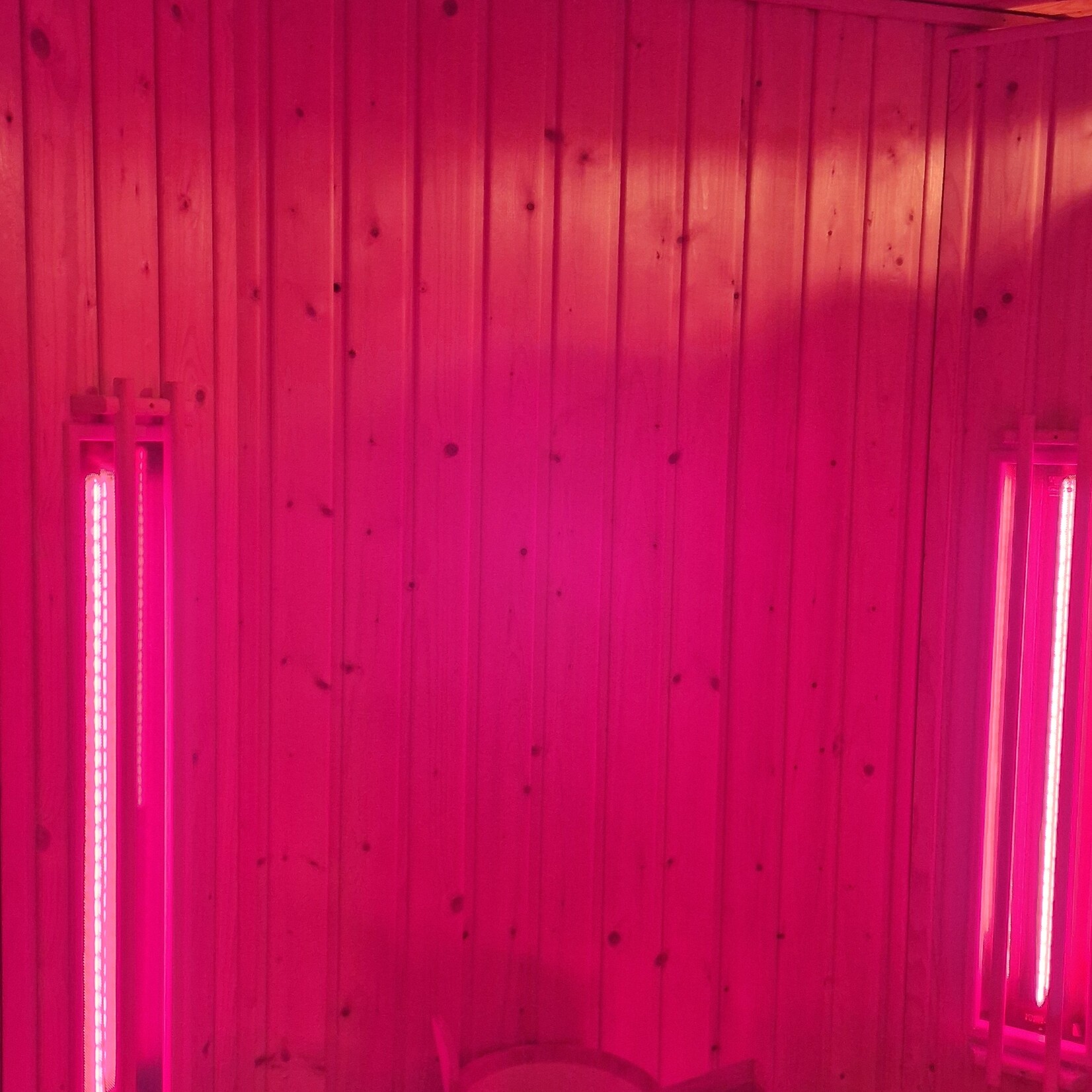 Bastu Infraroodsauna met Philips lampen. 210 x 130