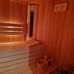 Bastu Combisauna PROF. 220 x 160 Philips infraroodlampen én een saunakachel