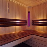 Bastu Combisauna PROF. 220 x 130 Philips infraroodlampen én een saunakachel