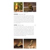 Pocket Photo Guide to the Birds of Spain