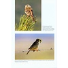 The Birds of the Iberian Peninsula