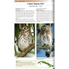Birds of Cuba - A Photographic Guide