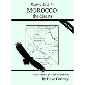  Finding Birds in Morocco: the deserts