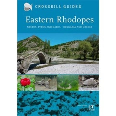 Crossbill Guide Eastern Rhodopes