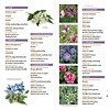 Minigids Eetbare Bloemen - 50 eetbare bloemen - met smaak en toepassing in de keuken