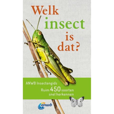 Welk Insect is dat?