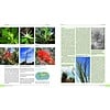 Plants of the World - An Illustrated Encyclopedia of Vascular Plants