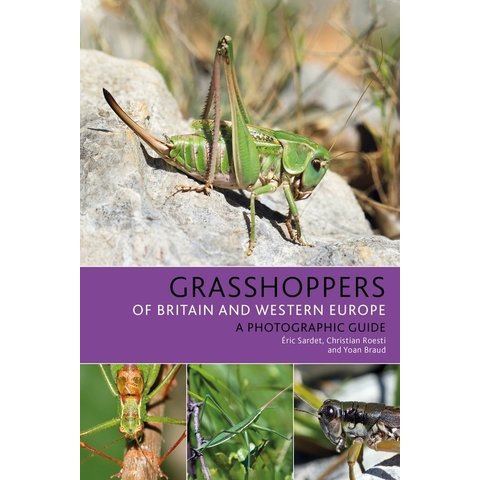 Grasshoppers of Britain and Western Europe