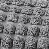 Kussen Rome grijs Kussen Rome grijs