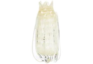 Handgevormde vaas Crown glas (smal)