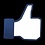 Foam hand - Like Facebook  - De Like-knop van Facebook in het groot in je handen!