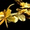 Hawaii bloemenkrans - goud