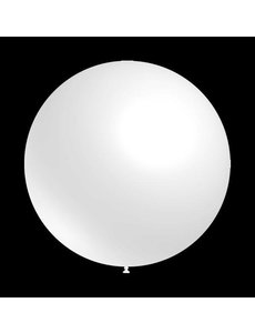  Ballonnen - Wit - Rond - 30cm