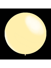  Ballonnen - Champagne - Rond - 30cm