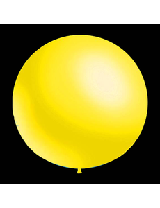  Ballonnen - Geel - Rond - 30cm
