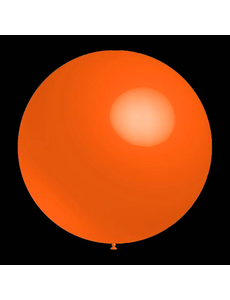  Ballonnen - Oranje - Rond - 30cm
