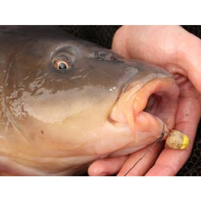 Korda Kurv-Schaft (10 Stück) | Karpfenhaken