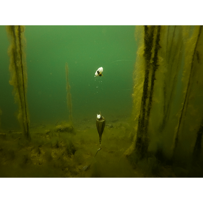 FOX Edges Zig Float Kit (komplett)