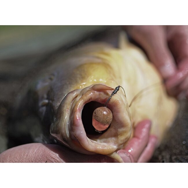 Pole Position Wolfram Kicker