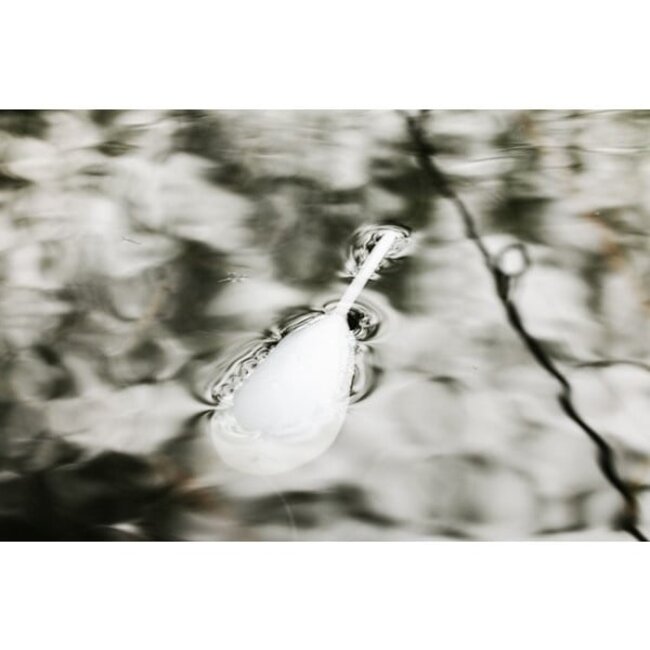 Korda Oberfläche float