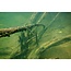 Korda Kable XT Extreme Leadcore 70lb (15 Meter)