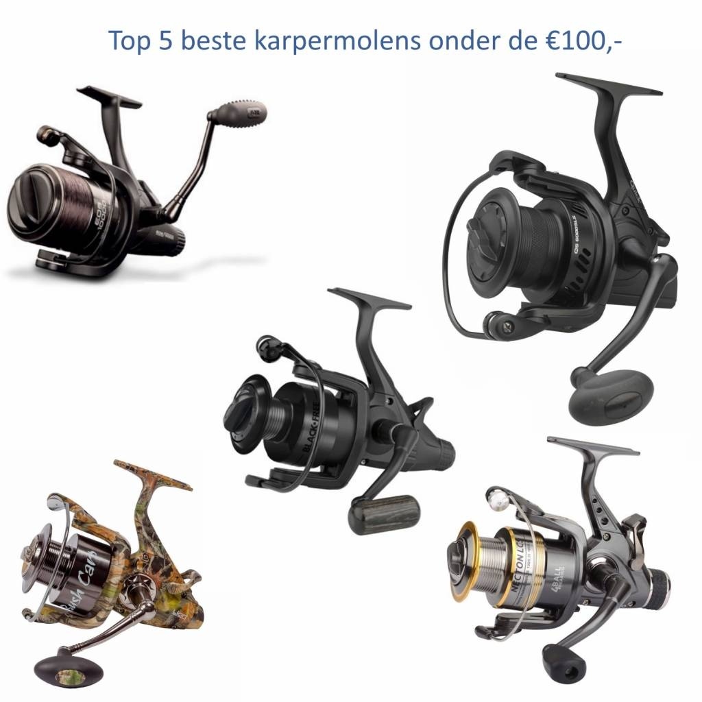 Top 5 der besten Karpfenrollen unter 100 Euro