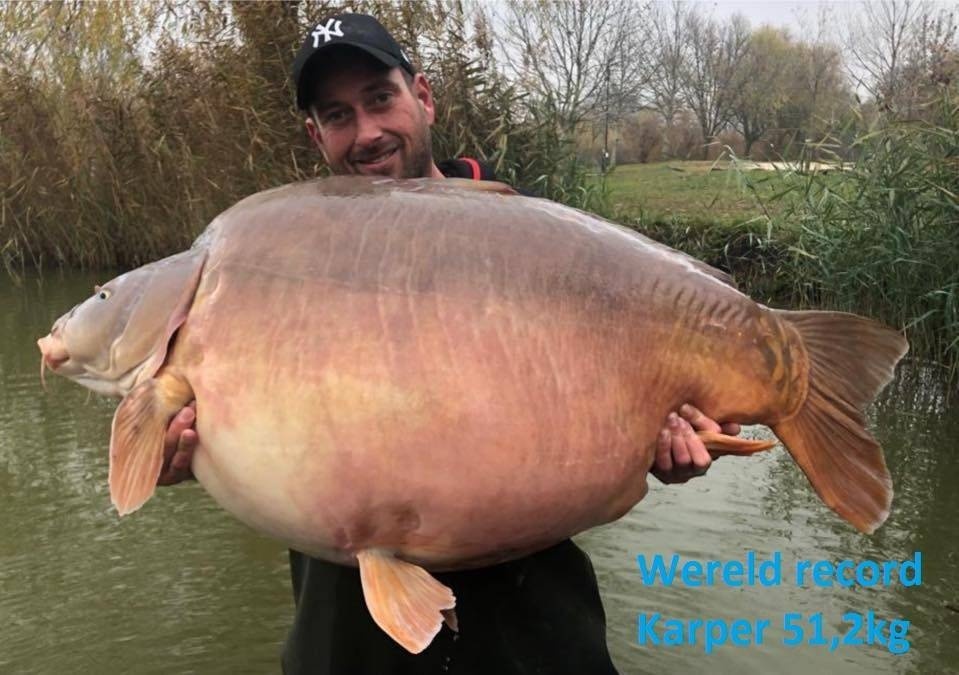 Weltrekordkarpfen mit 51,2 kg im euro aqua gefangen