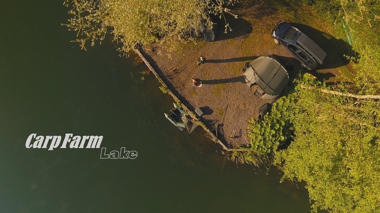 Lake Unfolded: Karpfenangeln auf dem CarpFarm See in Drenthe [Alle Informationen, die du brauchst!]