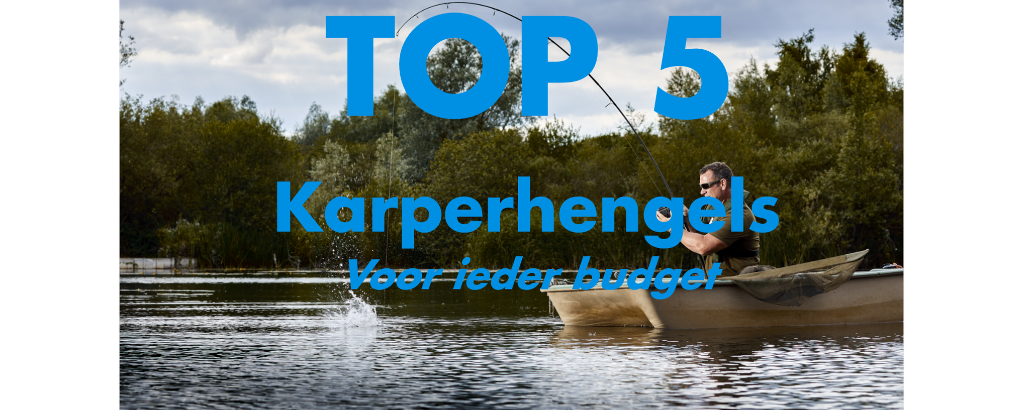 5 mal die beste Karpfenrute für jedes Budget [ 2023 ]