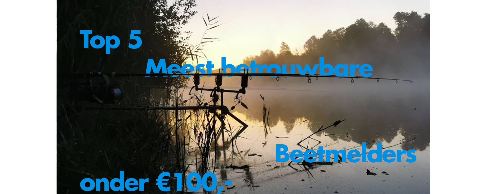 Top 5 der zuverlässigsten Bissanzeigesets für unter 100 Euro!