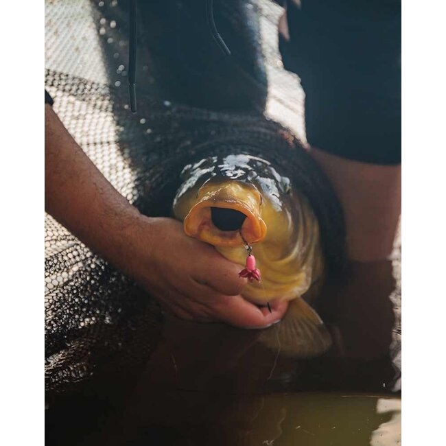 FOX Fox EDGES™ Illusion Fluoro D Rigs: Fertige Lösungen für erfolgreiches Karpfenangeln