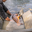 Avid Carp Pro-Tect Deluxe Cradle - Aushakmatte