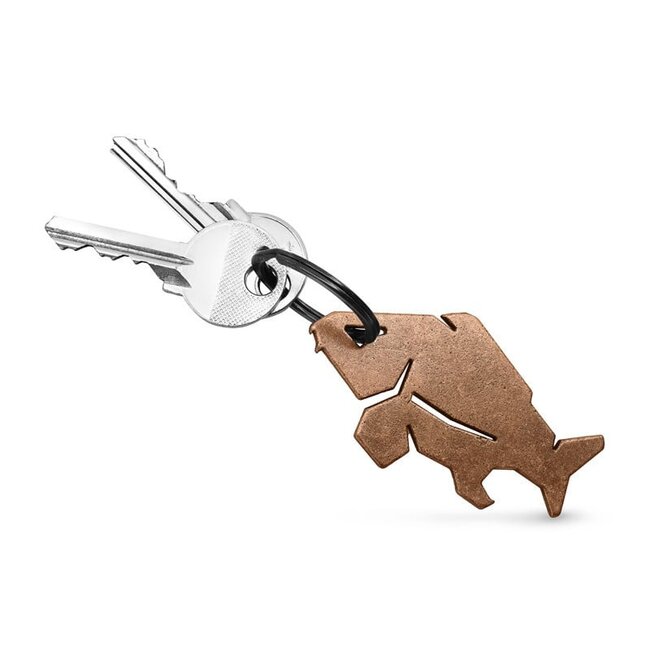 Delphin Karpfen Schlüsselanhänger & Bieröffner - Praktisch und einzigartig
