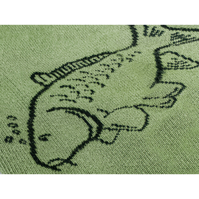 Delphin Happy Fishing - Karpfensocken - Bequem - Größe 41-46 - Grün