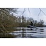Korda Kaizen Green Karpfenrute | 10FT | 3LB | Geflochtene Schnur Ausgabe