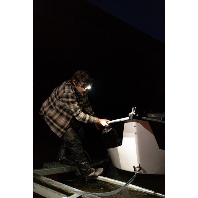 Ledlenser HF8R Core RGB - Camouflage Edition - Stirnlampe - 1600 Lumen - Rot/Grün/Blaues Licht