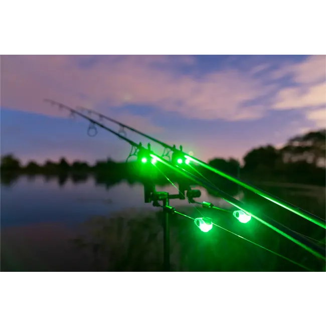 Nash Sirene R4 Bissanzeigeset | 4+1